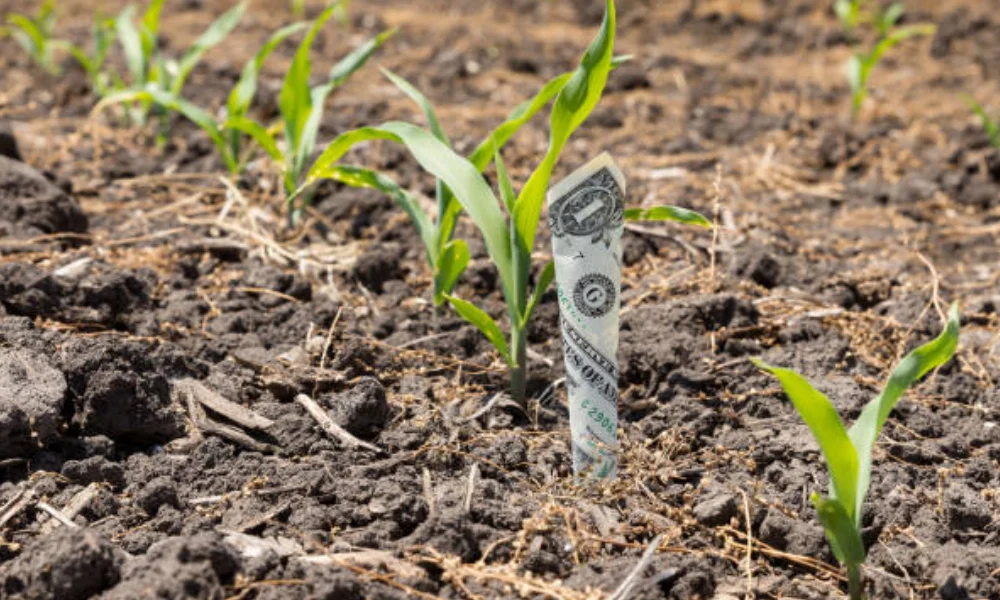 Crop insurance hits all‑time high as 2026 deadline nears - report